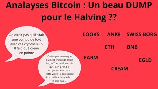 Analyse Bitcoin  Un dump pour le halving [upl. by Airehc360]