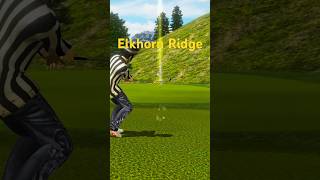 Elkhorn Ridge Hole 1 Eagle 🦅 Stinger from 75 yards [upl. by Ibloc395]