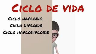 Ciclo de vida haploide diploides y haplodiploide [upl. by Vastah]