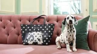 Introducing 101 Dalmatians x Cath Kidston [upl. by Andersen758]