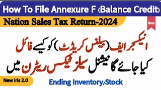 How To File Annex F In National Sales Tax Return  No Sales And Purchases  Inventory 2024 Iris 20 [upl. by Nylsirhc]