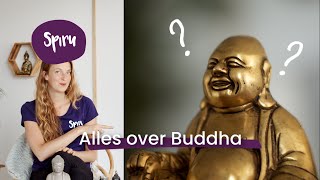 57 Alles over Boeddha Uitgelegd wie is hij en waar staat Buddha voor [upl. by Nuahsak]