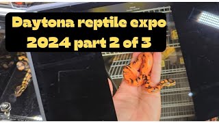 Daytona Reptile Expo 2024 part 2 of 3 [upl. by Leinoto216]