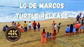 Turtle Release in Lo De Marcos Mexico lodemarcos turtlerescue nayarit mexico travel drone [upl. by Nanci]