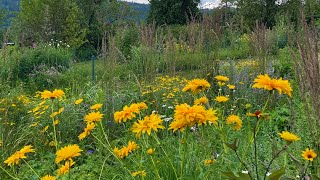 Staudenbeet Blüte im Juni Lasst euch inspirieren [upl. by Euv]