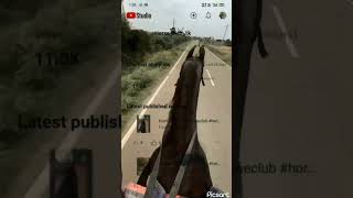 horse😯😮 horsefan reels horselover cuteanimal youtubeshorts [upl. by Neisa661]