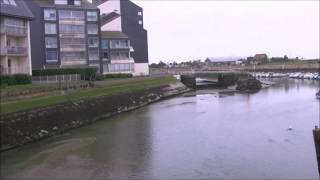 UN PHOQUE DANS LE PORT DE COURSEULLES SUR MER [upl. by Vittorio]