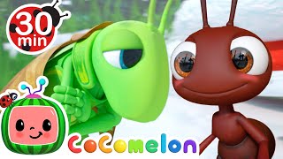 The Ant and the Grasshopper  More CoComelon Animal Time  Animals for Kids [upl. by Ahsikyt]