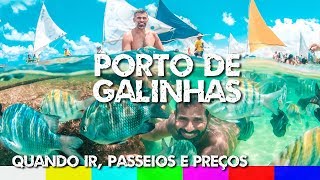 Porto de Galinhas Quando Ir Preços e Melhores Passeios  Dicas e Roteiro de Viagem [upl. by Grayson]