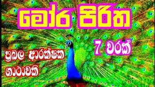 moora piritha  mora piritha sinhala  seth pirith [upl. by Nenney]