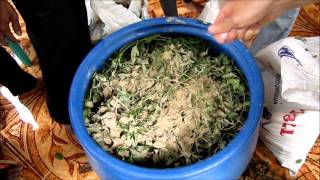 Video showing the preparation for animal feed fermentation [upl. by Dnalyram6]