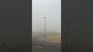 Abudhabi Fogy Day [upl. by Boehike56]