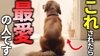 【飼い主必見】犬が溺愛している人にだけ見せる仕草１１選 [upl. by Esilahc]