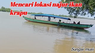 Di sungai musi teluk payo ini orang orang pada berlomba mencari ikan [upl. by Nivan]