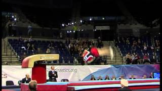 JAMES HALL  VAULT  2013 British Champs  AA [upl. by Pages]