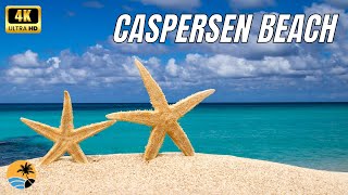 Caspersen Beach 2022  Venice Florida [upl. by Furgeson]