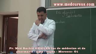 Les Glandes Salivaires  Partie 1  Pr Med Rachid GHAILAN fac médecine oujda maroc [upl. by Will]