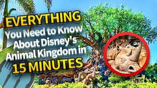 Everything You Need to Know About Disneys Animal Kingdom in 15 Minutes [upl. by Eednus]