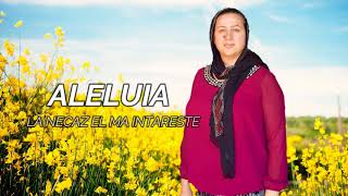 Corina Moldovan  Aleluia La necaz El te intareste Official video [upl. by Aisetal981]