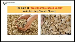 The Role of Forest Biomass in Addressing Climate Change Rbt Malmsheimer Webinar 7 by Froling Energ [upl. by Normak563]