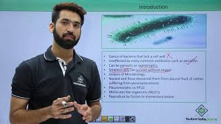 Class 11th – Mycoplasma – Introduction  Biological Classification  Tutorials Point [upl. by Engedus]