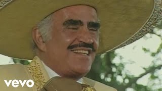 Vicente Fernández  Un Millon De Primaveras [upl. by Airlie]