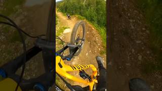 Full shred in Geilo bike park🤘🏼 mtb mountainbike mtbjumps mtblife shorts geilobikepark [upl. by Sunil]