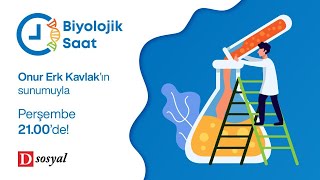 BİYOLOJİK SAAT 11  İklim Biyoçeşitlilik ve İnsan Etkisi [upl. by Avery673]