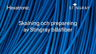 Skalning och preparering av Hexatronic Stingray blåsfiber [upl. by Edylc]