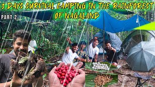 3 Days Group Camping in the Forest of Nagaland in Rain  Collecting Fruits from Jungle [upl. by Sebastian789]