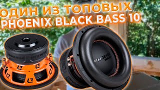 ЗЛОЙ НАСОС ОТ DL AUDIO  BLACK BASS 10 [upl. by Adelaida]