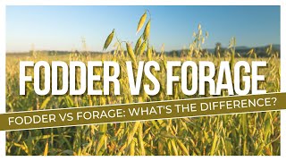 Fodder and forage crops difference [upl. by Gaylor]