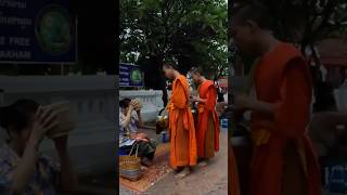 Alms Giving Ceremony Luang Prabang Laos 🇱🇦 laos travel culture buddhism [upl. by Coral]