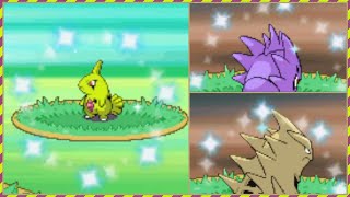 Live Shiny Larvitar in the Safari zone after 412 encounters My luckiest shiny ever SoulSilver [upl. by Ellene708]