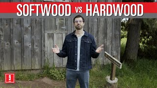 Wood Ceiling Considerations  Softwoods vs Hardwoods [upl. by Ayaet]