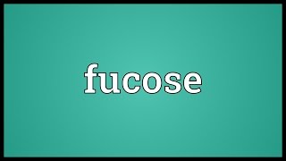 Fucose Meaning [upl. by Enilekcaj670]