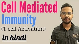 cell mediated immunity in hindi  t cell mediated immunity  innate immunity  immunology lecture [upl. by Donata392]