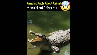 Crazy Facts About Animals 🐸🦘  Amazing Facts  Random Facts  Mind Blowing Facts in Hindi Shorts [upl. by Alroi54]