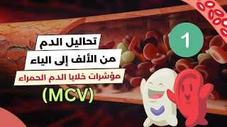 مؤشرات خلايا الدم الحمراء MCV  تحليل الدم الشامل 🩸🔬 [upl. by Weide]