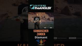 Diamant Kanadischer Zander  Call of the Wild the Angler shorts angeln wangchu theangler [upl. by Nagek]