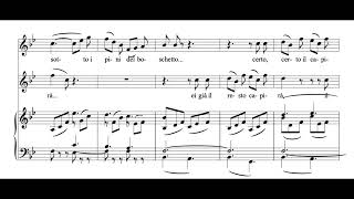 Sull’aria Le Nozze di Figaro  WA Mozart Score Animation [upl. by Aric]