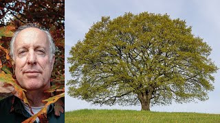 Doug Tallamy The Nature of Oaks [upl. by Gilges]