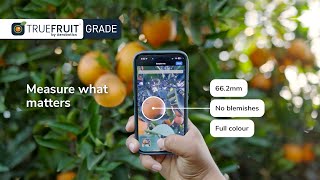 TrueFruit Grade Smarter Fruit Size and Quality Measurement [upl. by Jilleen]