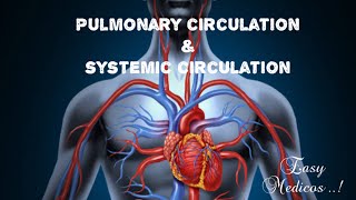 Pulmonary and systemic circulation  in malayalam [upl. by Saied]