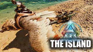 Learning About Raptor Breeding Eggs And Mutations  Ark Survival Ascended  The Island Part 5 [upl. by Melville]