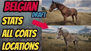 Red Dead Redemption 2 Belgian Draft LOCATION amp ALL COATS amp STATS GOOD HORSE GUIDE [upl. by Nonnad790]