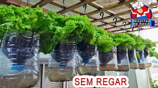 🥬Horta SUSPENSA de ALFACE SEM REGAR🥗 MUITA PRODUTIVIDADE [upl. by Mailiw180]