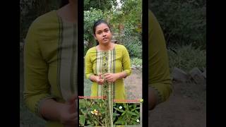 610 How to identify bhringraj plant shorts ytshort bhrigrajkapaudha floralayurveda [upl. by Acireed]