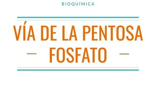 🧬VÍA PENTOSA FOSFATO  EXPLICACIÓN PASO a PASO📝 y FUNCIÓN 👀  Metabolismo de Carbohidratos [upl. by Kaylil]