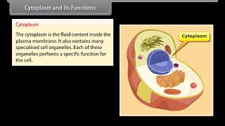 Standard 9 Science Chapter 5  Cell and Its Structure  Quick Revision [upl. by Aynuat]